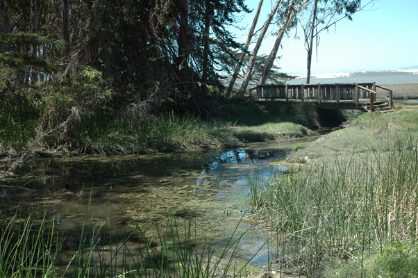 Morro Bay 017.JPG